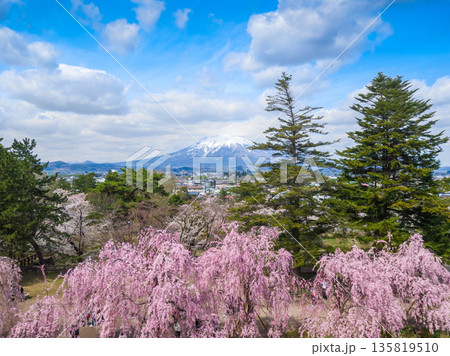 弘前城本丸から望む満開のシダレザクラと残雪の岩木山 (青森県、弘前市) 弘前城本丸から望む満開のシダレザクラと残雪の岩木山 (青森県、弘前市) 135819510