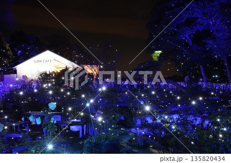 江ノ島シーキャンドル カフェの前にあったイルミネーション 135820434