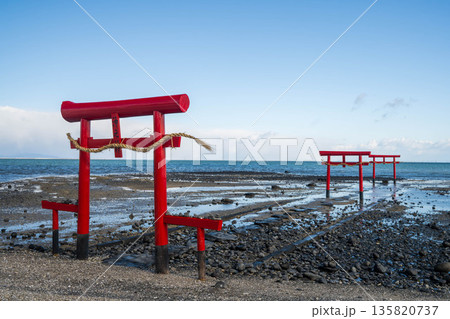 大魚神社の海中鳥居 135820737