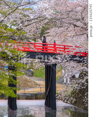 開の桜に包まれた弘前城の下乗橋と内濠 (青森県、弘前市) 開の桜に包まれた弘前城の下乗橋と内濠 (青森県、弘前市) 135820745
