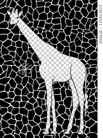 Giraffe  135821613