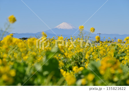 ソレイユの丘 135821622