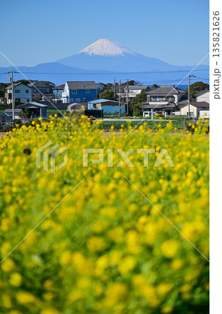 ソレイユの丘 ソレイユの丘 135821626