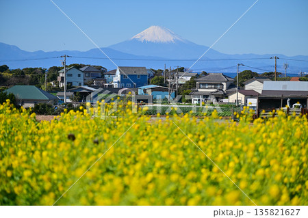 ソレイユの丘 ソレイユの丘 135821627