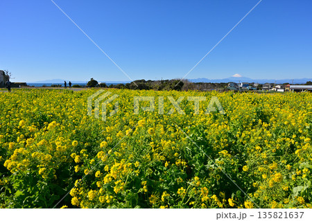 ソレイユの丘 135821637