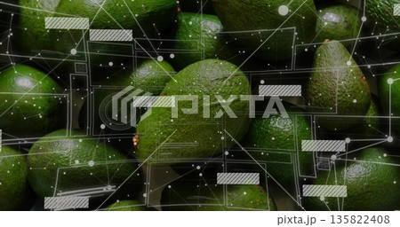 Presenting ripe green avocados filling frame in studio graphic scene, with digital network overlay Presenting ripe green avocados filling frame in studio graphic scene, with digital network overlay 135822408