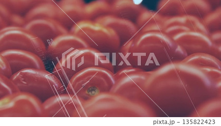 Pile of ripe red tomatoes gleaming on produce display in supermarket, with water droplets Pile of ripe red tomatoes gleaming on produce display in supermarket, with water droplets 135822423