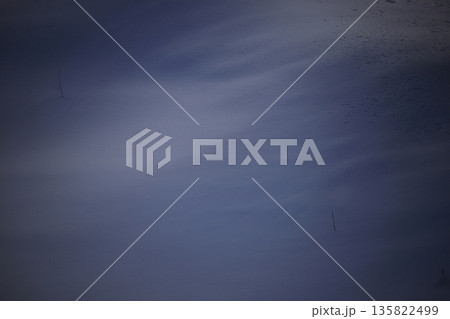 降雪の合間に薄日を受け雪原に映る木立の影 135822499