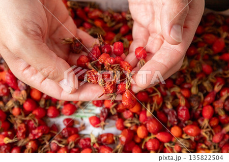 superfoods, dried red rosehip berries in man's hands for natural herbal medicine. healthy eating, vitamin-rich food, and homemade remedies for wellbeing. 135822504