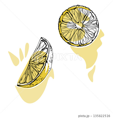 Yellow lemon slices with ink rind texture and juicy splatter, hand drawn in vector. Fresh fruit clipart for summer drink menus, recipe cards, cocktail graphics, food patterns, eco packaging design. 135822516