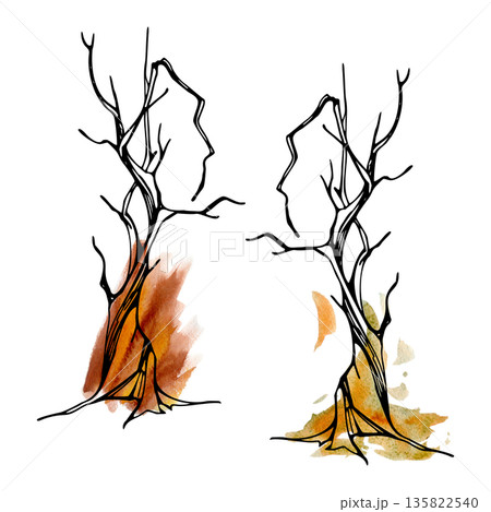 Tall slender tree with narrow twisted trunk and bare winter or dead branches. Single object illustration in ink and watercolor for landscape design, eco projects, nature prints, rural farming scenery. Tall slender tree with narrow twisted trunk and bare winter or dead branches. Single object illustration in ink and watercolor for landscape design, eco projects, nature prints, rural farming scenery. 135822540