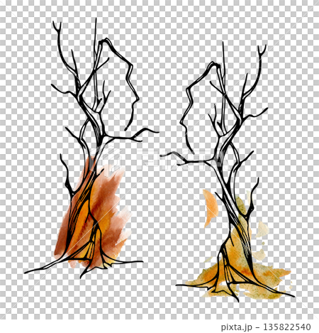 Tall slender tree with narrow twisted trunk and bare winter or dead branches. Single object illustration in ink and watercolor for landscape design, eco projects, nature prints, rural farming scenery. Tall slender tree with narrow twisted trunk and bare winter or dead branches. Single object illustration in ink and watercolor for landscape design, eco projects, nature prints, rural farming scenery. 135822540
