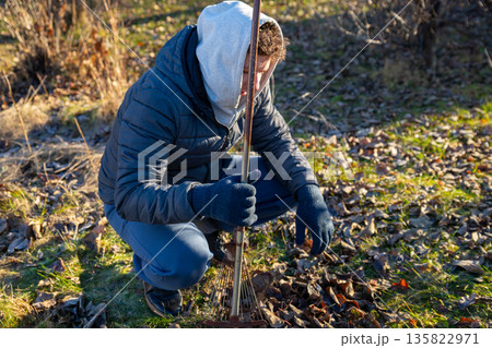 Young man squatting and raking fallen dry leaves in autumn garden. Farm work, harvest, cleaning or gardening Young man squatting and raking fallen dry leaves in autumn garden. Farm work, harvest, cleaning or gardening 135822971