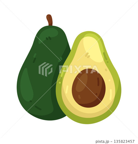 Illustration of avocado Illustration of avocado 135823457