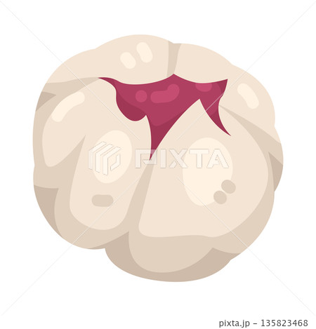 Illustration of Snowberry 135823468