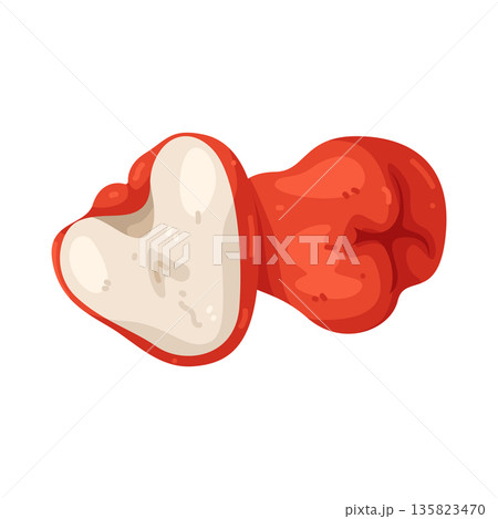 Illustration of java apple 135823470