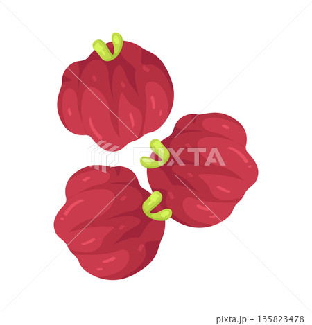 Illustration of Surinam Cherry Illustration of Surinam Cherry 135823478