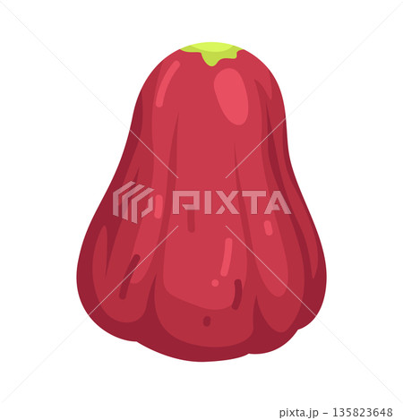 Illustration of java apple 135823648