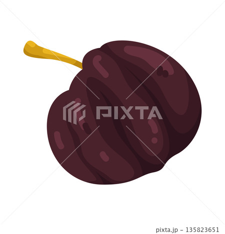 Illustration of Surinam Cherry Illustration of Surinam Cherry 135823651