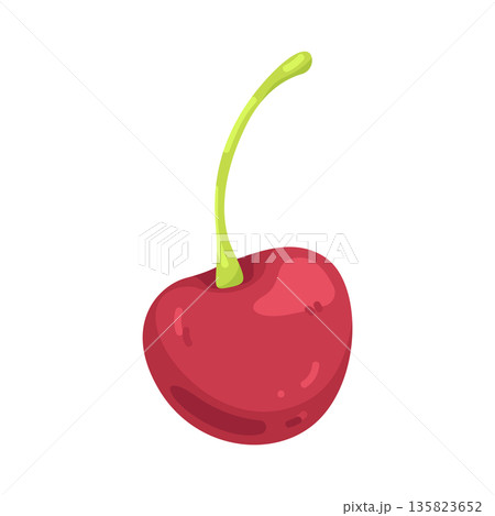 Illustration of cherry Illustration of cherry 135823652