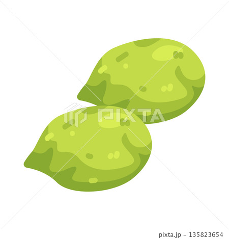 Illustration of Green Cherry Plum Illustration of Green Cherry Plum 135823654
