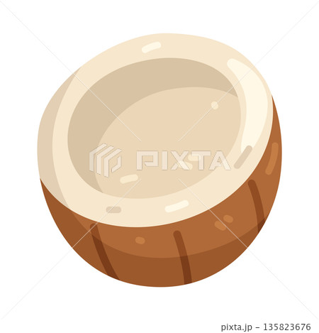 Illustration of coconut Illustration of coconut 135823676