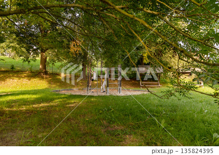 A father and his child share joyful interactions at a playground nestled among lush greenery. Their laughter highlights the strong bond as they engage in playful activities 135824395