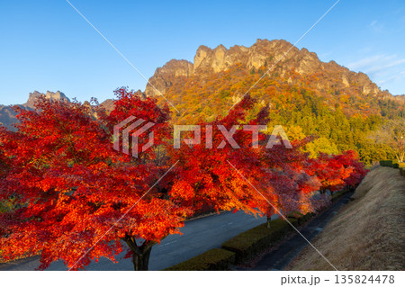 群馬県富岡市妙義町岳 妙義山パノラマパークのモミジ並木と紅葉した日本三大奇勝の妙義山 群馬県富岡市妙義町岳 妙義山パノラマパークのモミジ並木と紅葉した日本三大奇勝の妙義山 135824478