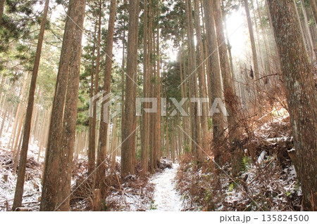 雪が積もった登山道 雪が積もった登山道 135824500