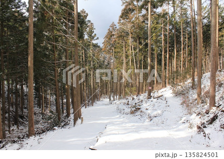雪が積もった登山道 135824501