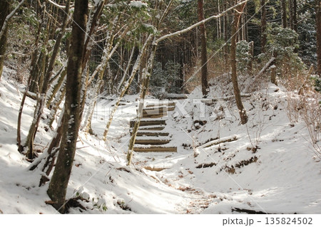 雪が積もった登山道 135824502