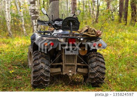 quad bike or ATV or quadbike in forest. rear view of rear view among green trees 135824597