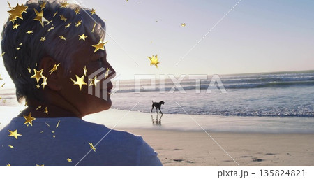 Standing woman wearing T-shirt facing horizon on beach, with dog walking, star overlay, copy space 135824821