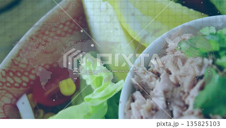 White bowl with flaked tuna, lettuce sitting in layout, with dotted world map, code-text overlay White bowl with flaked tuna, lettuce sitting in layout, with dotted world map, code-text overlay 135825103