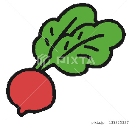 赤カブ/ラディッシュの手描きイラスト 135825327