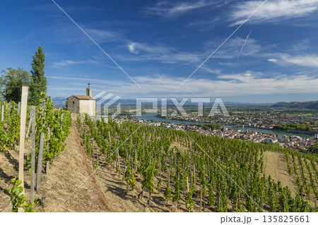 Rhone valley vineyard chapel overlooking Tain l'Hermitage 135825661
