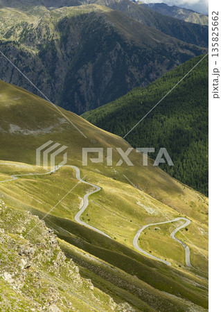 Winding mountain road M2205 in French Alps landscape Winding mountain road M2205 in French Alps landscape 135825662