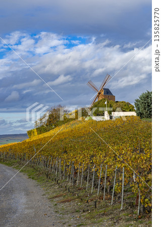 Verzenay windmill overlooking Champagne vineyards in autumn Verzenay windmill overlooking Champagne vineyards in autumn 135825770