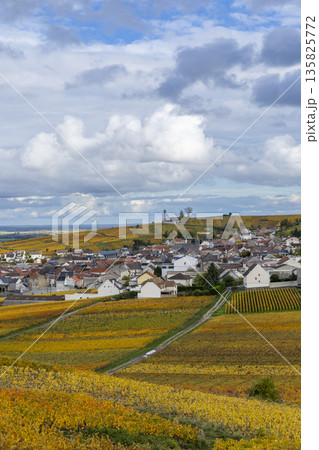 Verzenay village and autumn champagne vineyards, Grand Est France Verzenay village and autumn champagne vineyards, Grand Est France 135825772