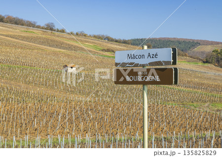 Bourgogne wine region vineyard with Macon Aze sign Bourgogne wine region vineyard with Macon Aze sign 135825829