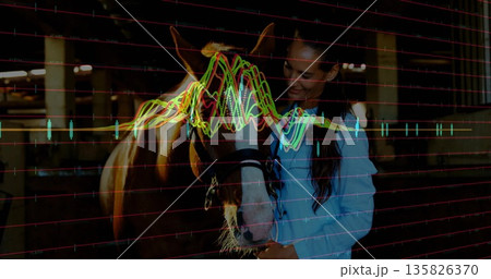 Holding woman in blue shirt smiling at horse in barn, with halter and multicolored waveform overlay Holding woman in blue shirt smiling at horse in barn, with halter and multicolored waveform overlay 135826370