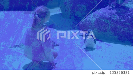 Kneeling child wearing pink sweater, leggings observing penguin at zoo, with rock pool, copy space Kneeling child wearing pink sweater, leggings observing penguin at zoo, with rock pool, copy space 135826381