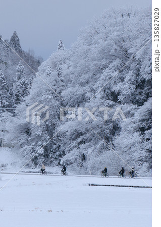 雪に包まれた田んぼを走る冬のサイクリング　静かな田園に広がる白銀の世界 135827029