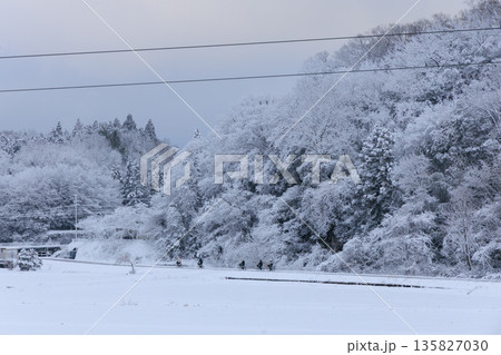 雪に包まれた田んぼを走る冬のサイクリング 静かな田園に広がる白銀の世界 雪に包まれた田んぼを走る冬のサイクリング 静かな田園に広がる白銀の世界 135827030