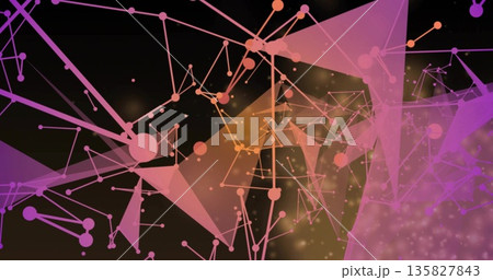 Showing abstract network in digital space, with nodes, lines, spheres, triangles and dots Showing abstract network in digital space, with nodes, lines, spheres, triangles and dots 135827843