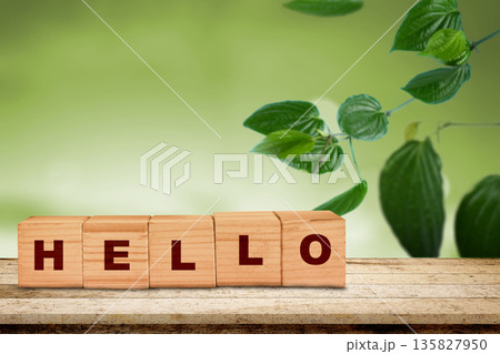 A friendly greeting spelled with wooden cubes on a rustic surface. The word HELLO is set against a beautiful blurred green garden background, perfect for a welcoming message A friendly greeting spelled with wooden cubes on a rustic surface. The word HELLO is set against a beautiful blurred green garden background, perfect for a welcoming message 135827950