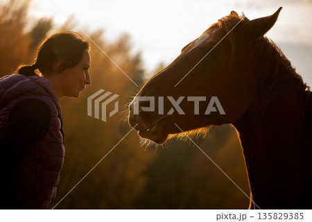Calm Eye Contact Between Woman And Horse At Dusk Calm Eye Contact Between Woman And Horse At Dusk 135829385