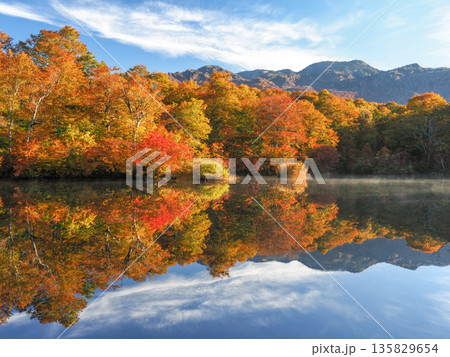 紅葉の鎌池 紅葉の鎌池 135829654