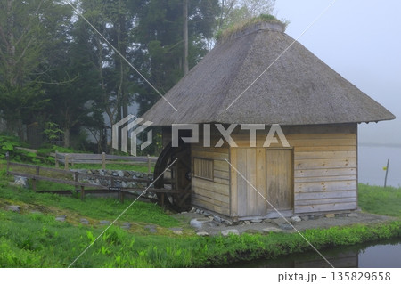 合掌造り集落にあるかやぶきの里 135829658