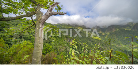 Vereda dos Balcoes PR11 Mountain Footpath, Madeira, Portugal Vereda dos Balcoes PR11 Mountain Footpath, Madeira, Portugal 135830026